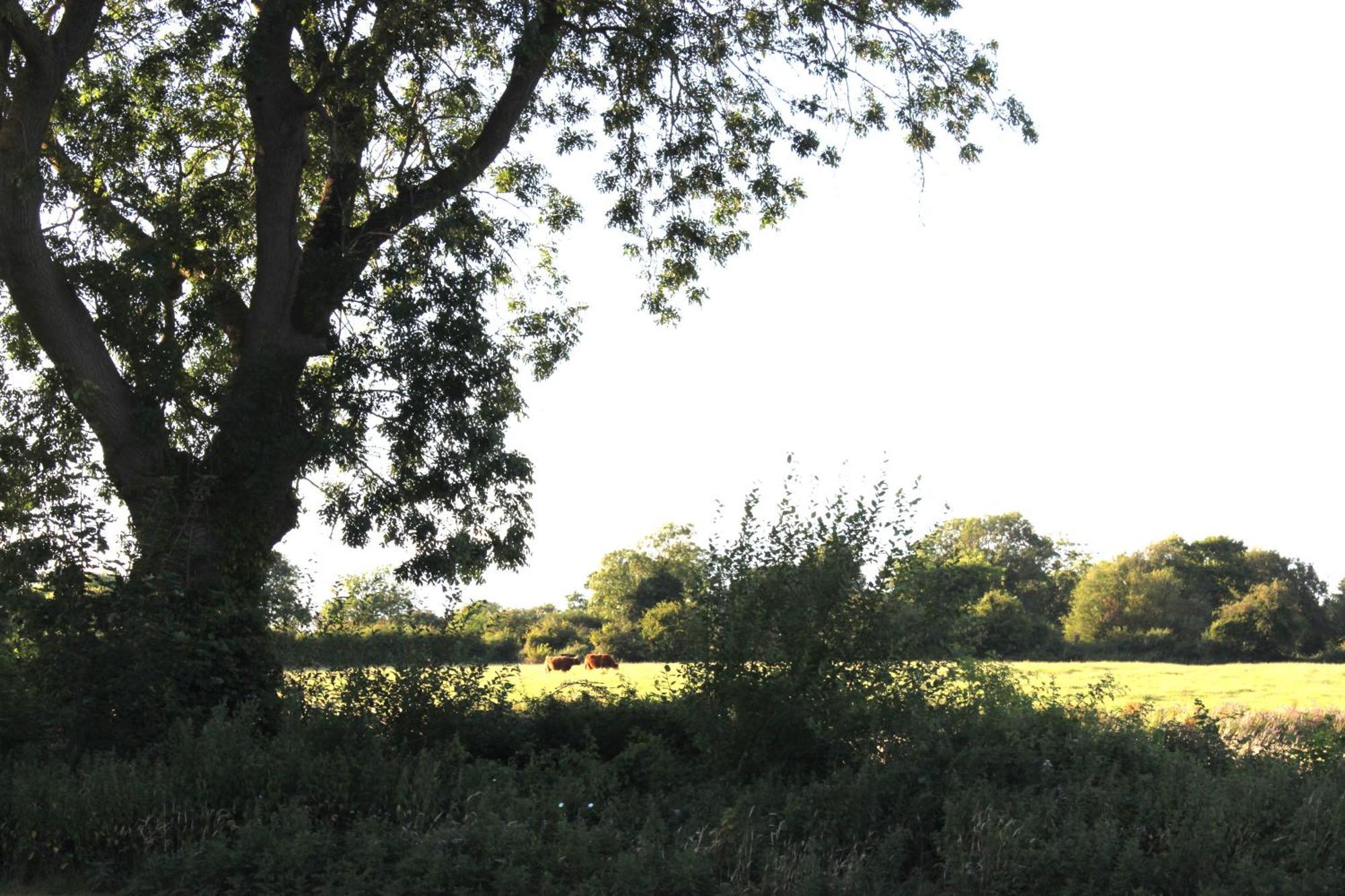 The Willowford Milton Keynes Luaran gambar